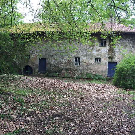 Chateau De Grand Bonnefont 里摩日 外观 照片